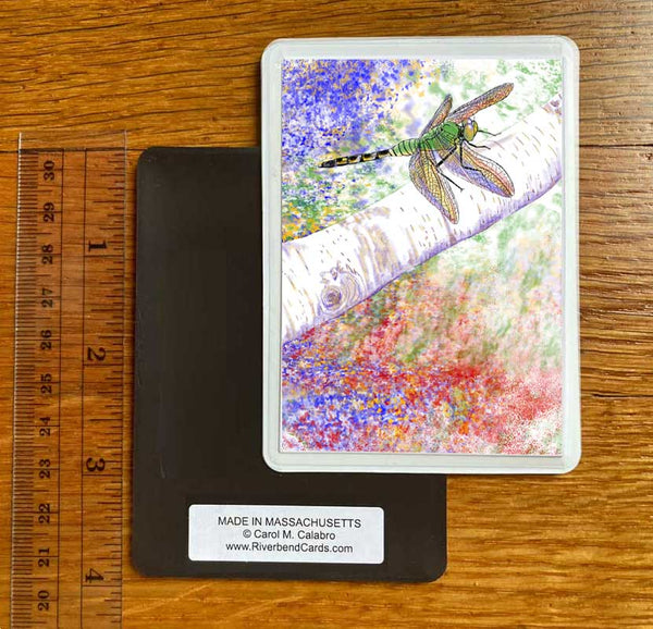 Art Magnets