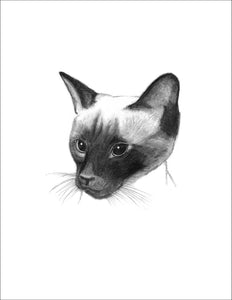 R618